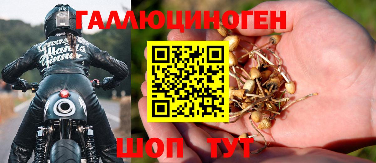 Кимры  Псилоцибиновые грибы мухоморы  Вход с VPN  Галлюциногенные грибы прущие грибы 